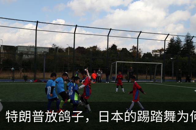 特朗普放鸽子，日本的踢踏舞为何变成了独角戏？